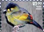 i-stamp bird