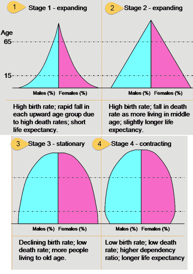Demographic transition four stages