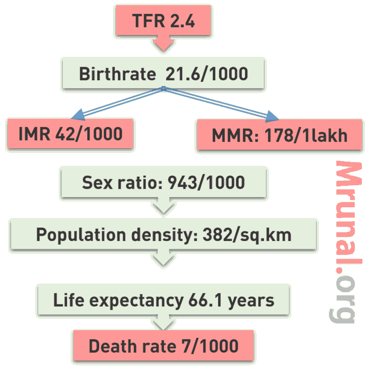 India health statistics census 2011